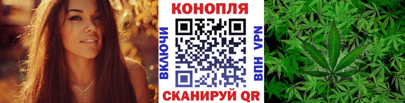 дарнет шоп  Семёнов  Бошки Шишки тримм 